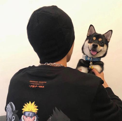 6686体育app金牌作者Xander