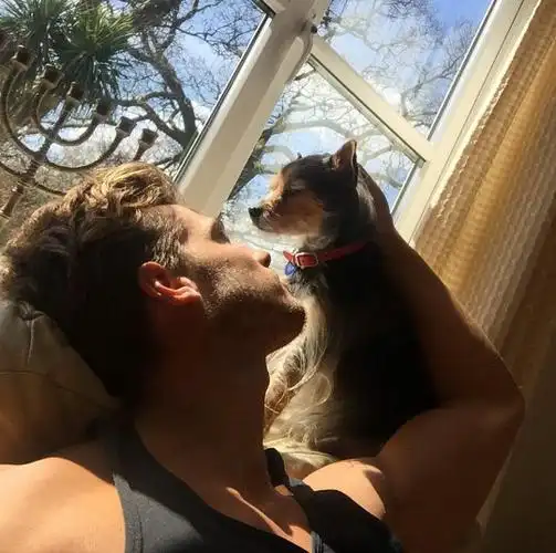 6686体育app官方作者Wayne