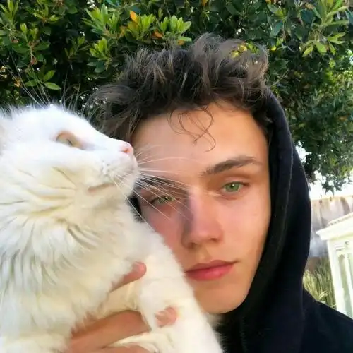 6686体育app特邀作者尐兎兎