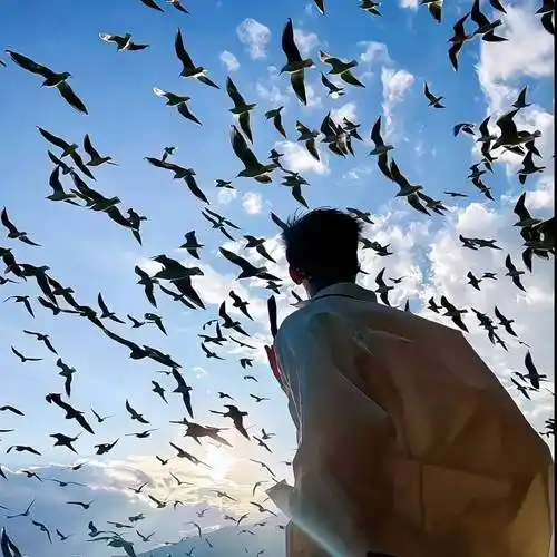 6686体育app签约作者苏璃陌