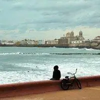 6686体育app金牌作者Bess