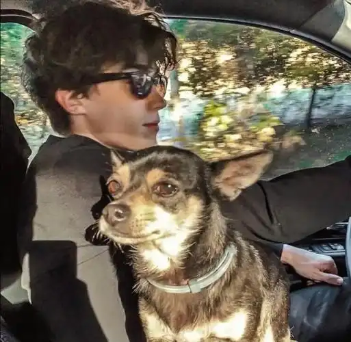 6686体育app金牌作者Archie