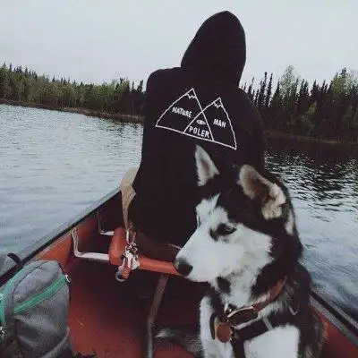 6686体育app铜牌作者Isla